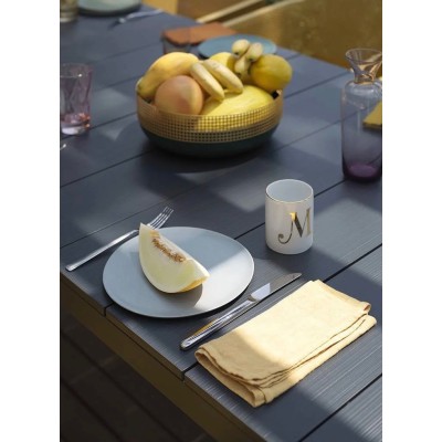 Rio Alu 210 Extensible