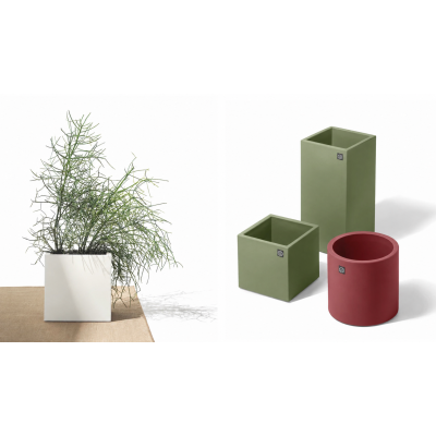 Loto Pot