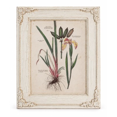 Quadro Giglio