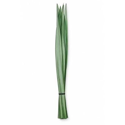 come si presenta il sacchetto contenente Foglie lunghe 10pz