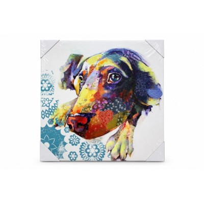 Quadro Kira