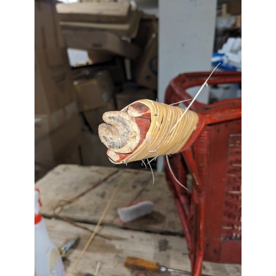 presenza di tarlo sulla gamba