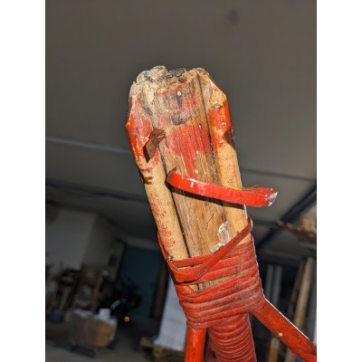 presenza di tarlo sulla gamba