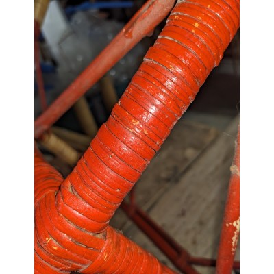 presenza di tarlo sulla gamba