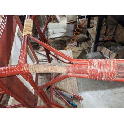 presenza di tarlo sulla gamba