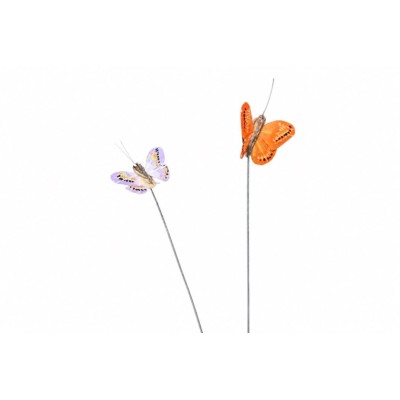 Set Farfalline Decorative